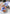 Aktionsbanner
