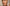 Aktionsbanner